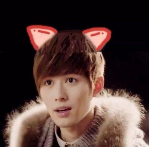 陈学东的家庭背景,陈学东的家庭背景与奋斗历程